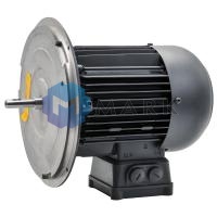 Электродвигатель Weishaupt WM-D90/110-2/1K5, 1.5 кВт