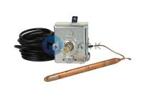 Термостат Riello 3007462