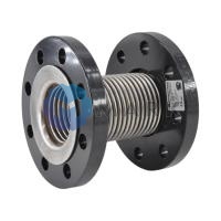 Газовый компенсатор Giuliani Anello GAF212