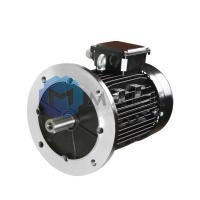Электродвигатель Elvem 3,0 кВт арт.65322831
