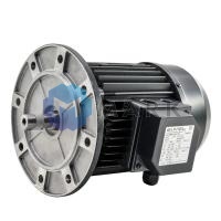 Электродвигатель Simel 6/3038, 1.1 кВт