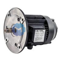 Электродвигатель Simel (31/3030-54) арт.65322808