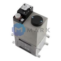 Двойной электромагнитный клапан Dungs DMV-DLE 520/11 110-120 V