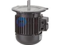 Электродвигатель Hanning 550 Вт 13013124