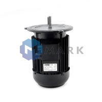 Электродвигатель Hanning 900 Вт арт.13013125