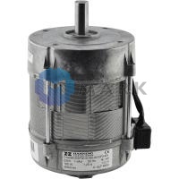 Электродвигатель Hanning O1A095-055P0018-030-001OF0-431