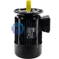 Электродвигатель Riello арт.20050960