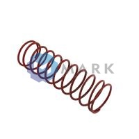 Пружина Weishaupt DN 25-Rp 1", 490145