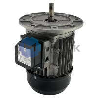 Электродвигатель Riello арт.3014206R