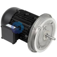 Электродвигатель Weishaupt W-D112/170-2/4K5