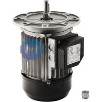 Электродвигатель Riello арт.3003966