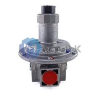 Регулятор давления газа Dungs FRS 505