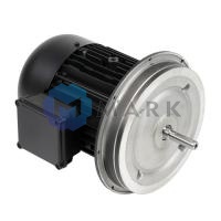 Электродвигатель Weishaupt W-D112/140-2/3K0