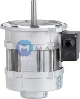 Электродвигатель Riello 3006716