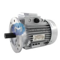 Электродвигатель CIB Unigas IMM 90 L2 арт. 2180211