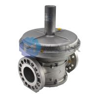 Регулятор давления газа Giuliani Anello FS1B65 арт. 009.0256.201