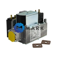 Газовый электромагнитный клапан Elco CG10R70-D2W5BWVZ арт. 13021976