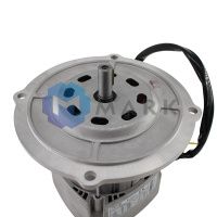 Электродвигатель Riello RH S 110 3003773