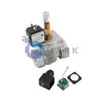 Электромагнитный газовый клапан Giuliani Anello EV20, 010.0181.001